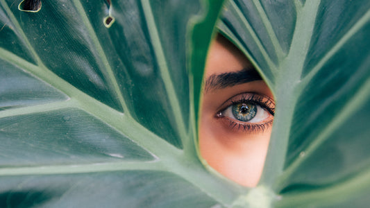 A blue eye peering through the gap in two palm leaves.